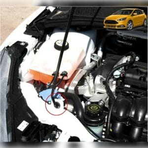 Clip para soporte de varilla de tono para Ford Escape 2013-2019 y Ford Focus 2012-2017 T1